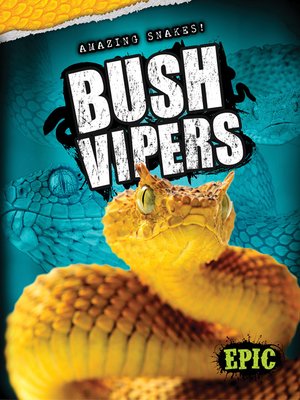 cover image of Bush Vipers